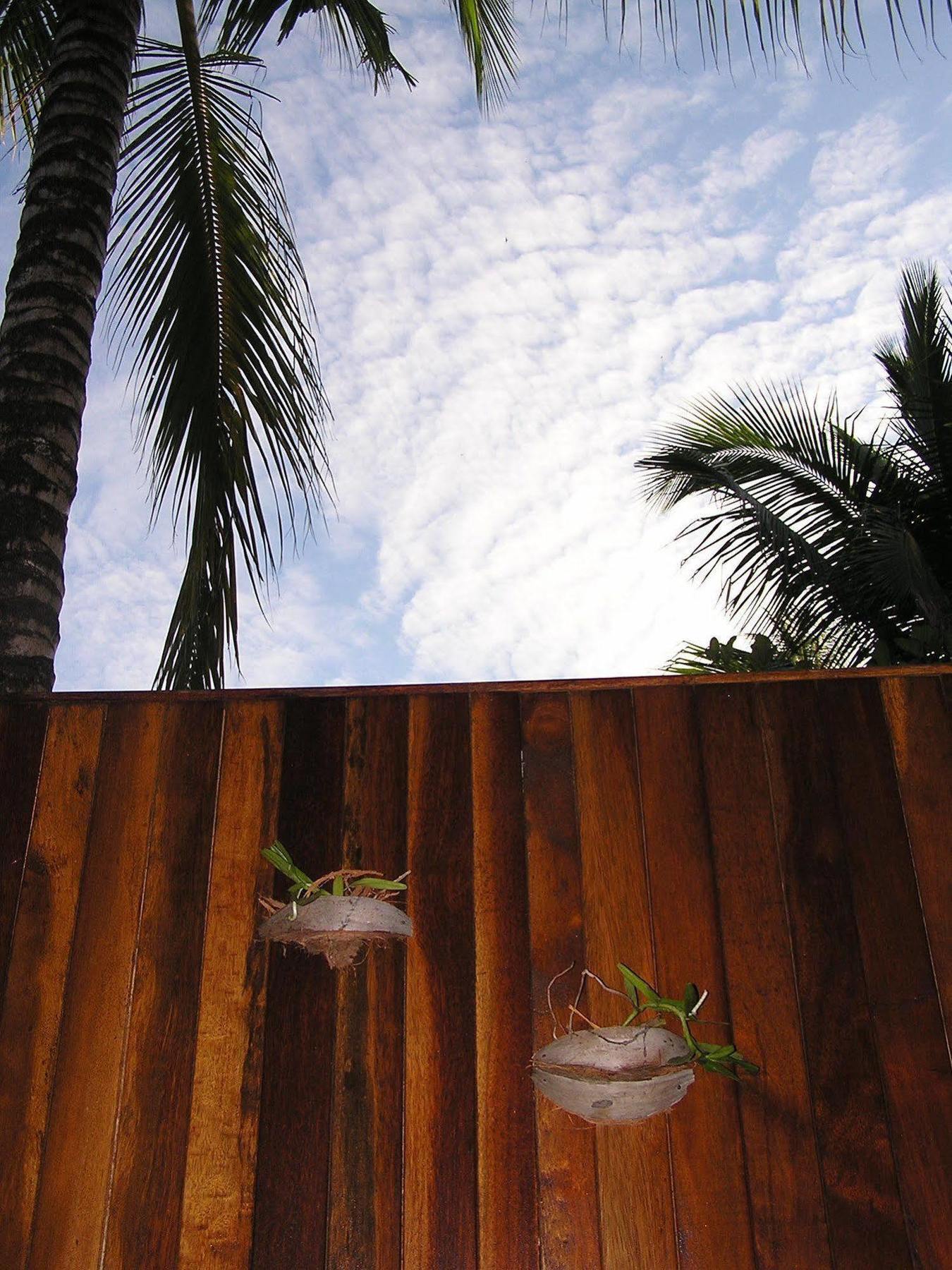 North Borneo Biostation Resort Kudat Extérieur photo